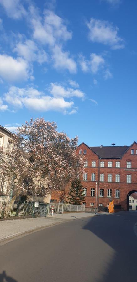 Spree Hotel In Der Altstadt Lubbenau Bagian luar foto